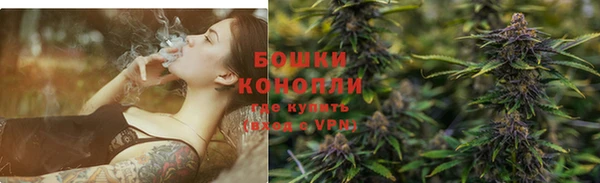 apvp Вязьма