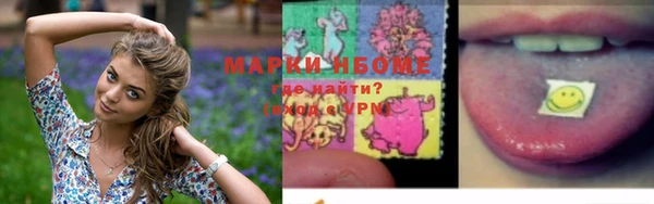 apvp Вязьма