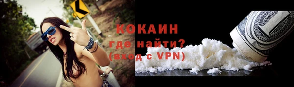 кокс Вяземский