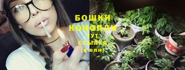 кокс Вяземский